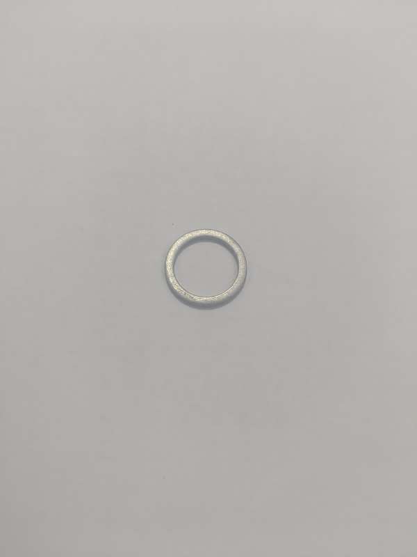Vanos Microfilter Sealing Ring (S50B30/S50B32)