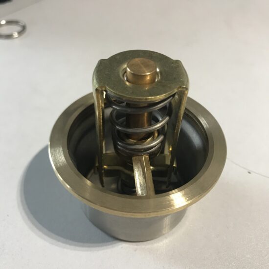 S50 S54 Thermostat - 11531318274