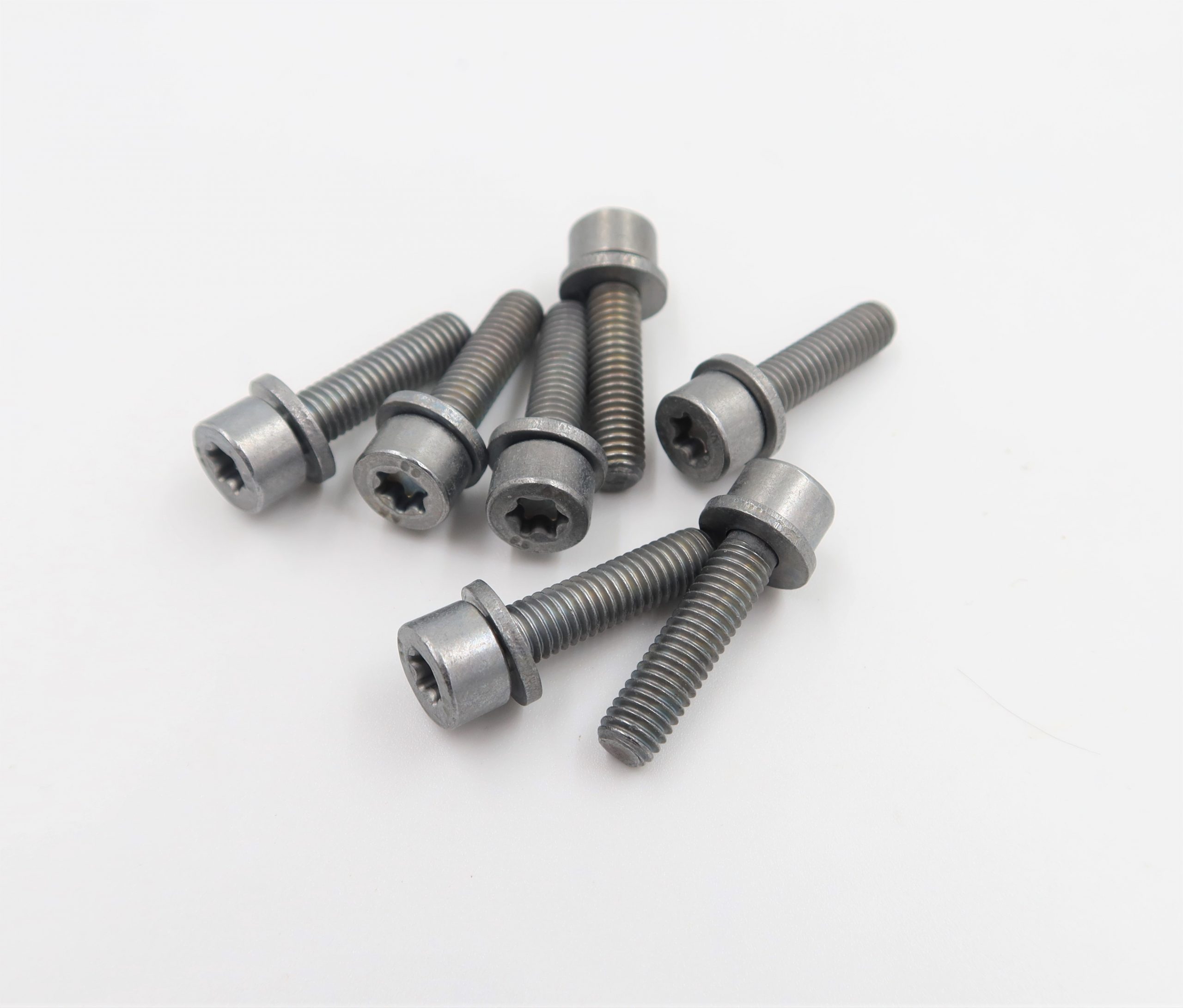 Internal Torx Screw with Washer 07129905558 Hack Engineering