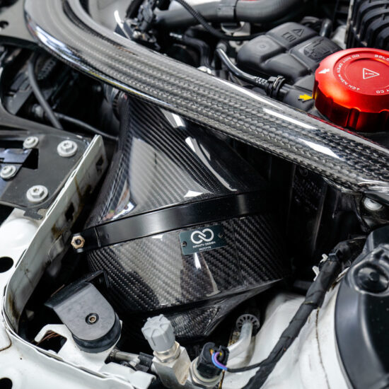 Infinity Design Carbon Fibre Intake for F8X M2C/M3/M4.
